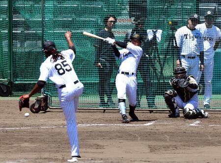 　糸原を二ゴロに打ち取るドリス