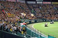 　ファンの声援を受け、場内一周する才木と佐藤輝（撮影・山口登）