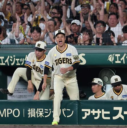 　勝利の瞬間、ベンチから飛び出して声を張り上げる大竹。左は石井（撮影・田中太一）