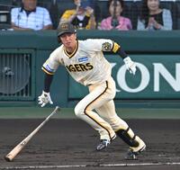 　１回、左前打を放つ近本（撮影・飯室逸平）