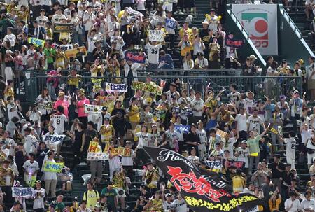 　優勝マジック３９が点灯し、喜ぶ阪神ファン（撮影・北村雅宏）