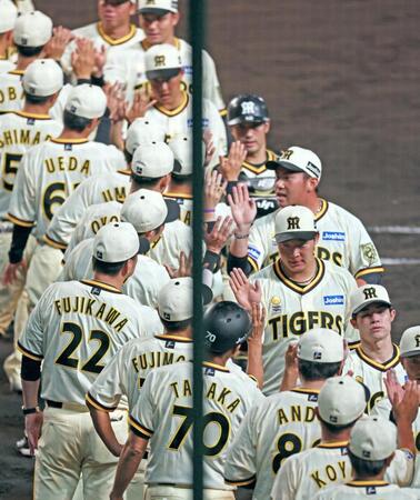 　勝利のタッチを交わす阪神ナイン（撮影・立川洋一郎）
