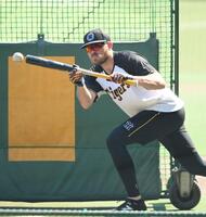 　１軍に合流し、バント練習するビーズリー（撮影・西田忠信）
