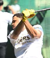 　１軍に合流し、打撃練習するヘルナンデス（撮影・西田忠信）