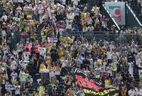 　優勝マジック３９が点灯し、喜ぶ阪神ファン（撮影・北村雅宏）