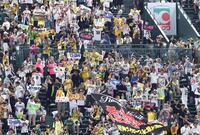 　優勝マジック３９が点灯し、喜ぶ阪神ファン（撮影・北村雅宏）