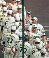 　勝利のタッチを交わす阪神ナイン（撮影・立川洋一郎）