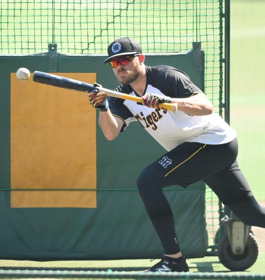 　１軍に合流し、バント練習するビーズリー（撮影・西田忠信）