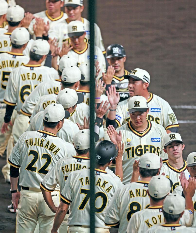 　勝利のタッチを交わす阪神ナイン（撮影・立川洋一郎）