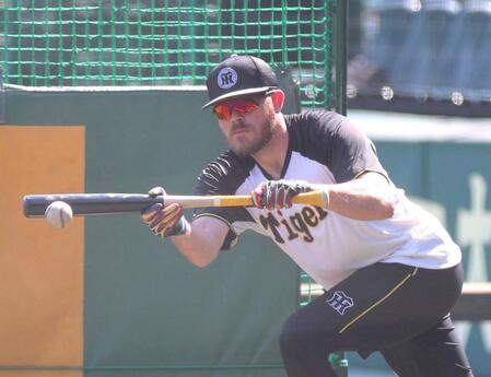 　バント練習をするビーズリー（撮影・北村雅宏）