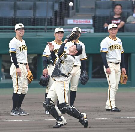 　シートノックで軽快な動きを見せる栄枝（撮影・飯室逸平）