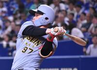 ryu阪神タイガース　中野選手試合用バット 2024モデル】JB 硬式 軟式 竹バット トレーニングバット 82cm