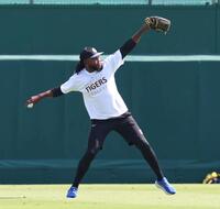 　入念にキャッチボールするドリス（撮影・北村雅宏）