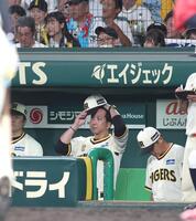 　８回、ベンチで帽子をかぶり直す藤川監督（中央）＝撮影・北村雅宏