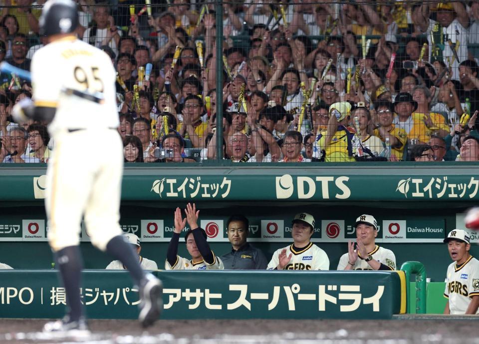 　６回、代打ヘルナンデス（手前左）が押し出し四球を選び、拍手する藤川監督（右から２人目）＝撮影・北村雅宏