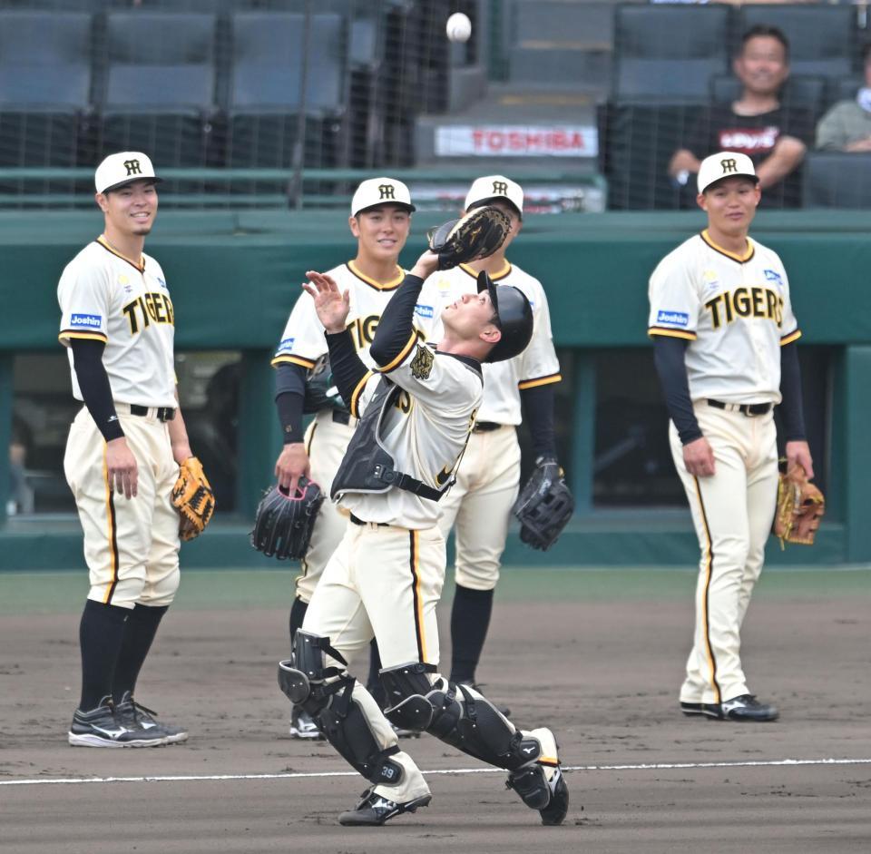 　シートノックで軽快な動きを見せる栄枝（撮影・飯室逸平）