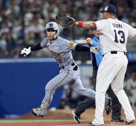 　６回、適時打を放った坂本はオスナと接触する（撮影・田中太一）