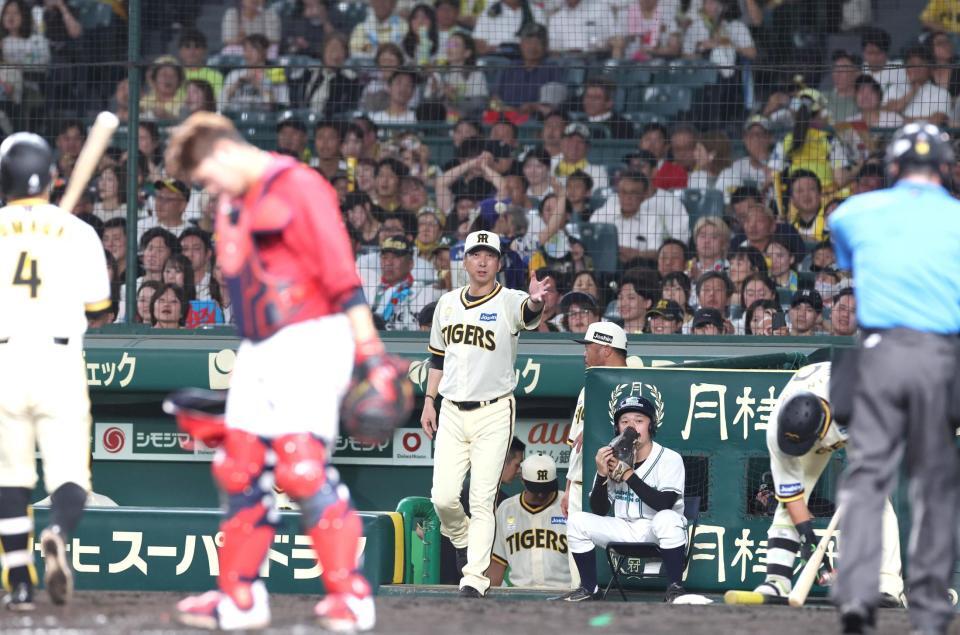 　７回、代打・木浪を告げる藤川監督（中央）＝撮影・北村雅宏