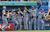 　２回、中越えソロを放った小幡を出迎える阪神ベンチ（撮影・佐々木彰尚）