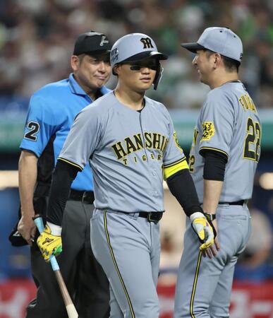 　７回、見逃し三振に倒れた森下はベンチへ戻る。後方は投手交代を告げる藤川監督（撮影・田中太一）