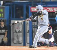 　６回、右越えソロを放つ大山（撮影・伊藤笙子）