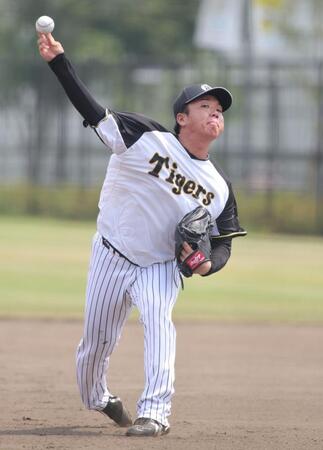 　キャッチボールをする村上（撮影・坂部計介）