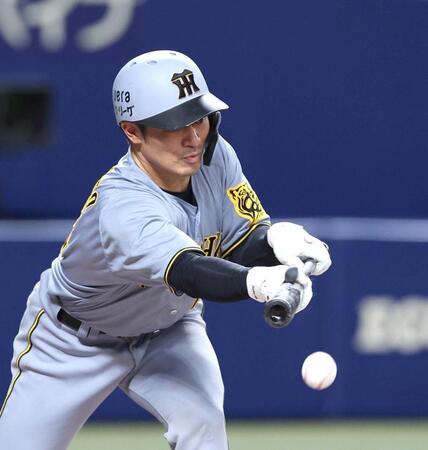 　７回、犠打を決める坂本（撮影・北村雅宏）