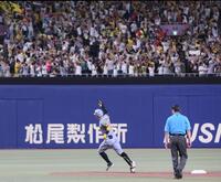 　８回、逆転３ランを放ち、左翼スタンドのファンの声援に応える佐藤輝（撮影・北村雅宏）