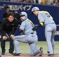 　１０回、押し出しとなる死球を受けた大山は近本（右）に背中をさすられる（撮影・北村雅宏）