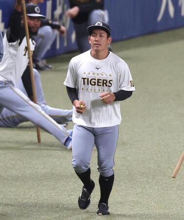　ウオーミングアップする伊原（撮影・北村雅宏）