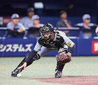 　３回、捕逸したボールを拾う坂本（撮影・北村雅宏）