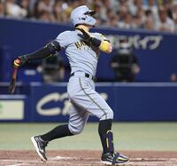 　４回、ソロを放つ佐藤輝（撮影・北村雅宏）