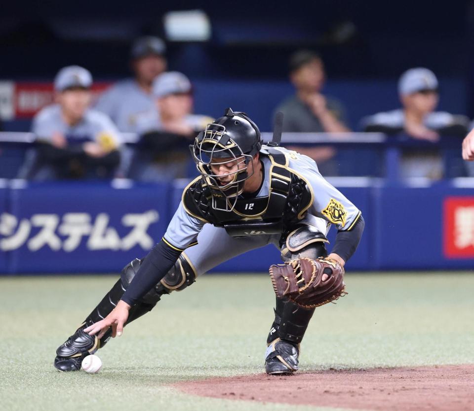 　３回、捕逸したボールを拾う坂本（撮影・北村雅宏）