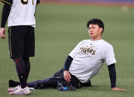 【写真】おちゃめなデュプランティエ　後ろから忍び寄り門別のヒゲをチェック