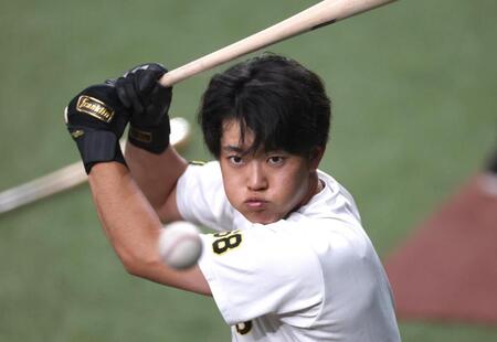 打撃練習する阪神・中川勇斗＝京セラドーム大阪（撮影・北村雅宏）