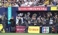 　８回、押し出し四球を選んだ木浪（中央）らを迎える阪神ナイン（撮影・北村雅宏）