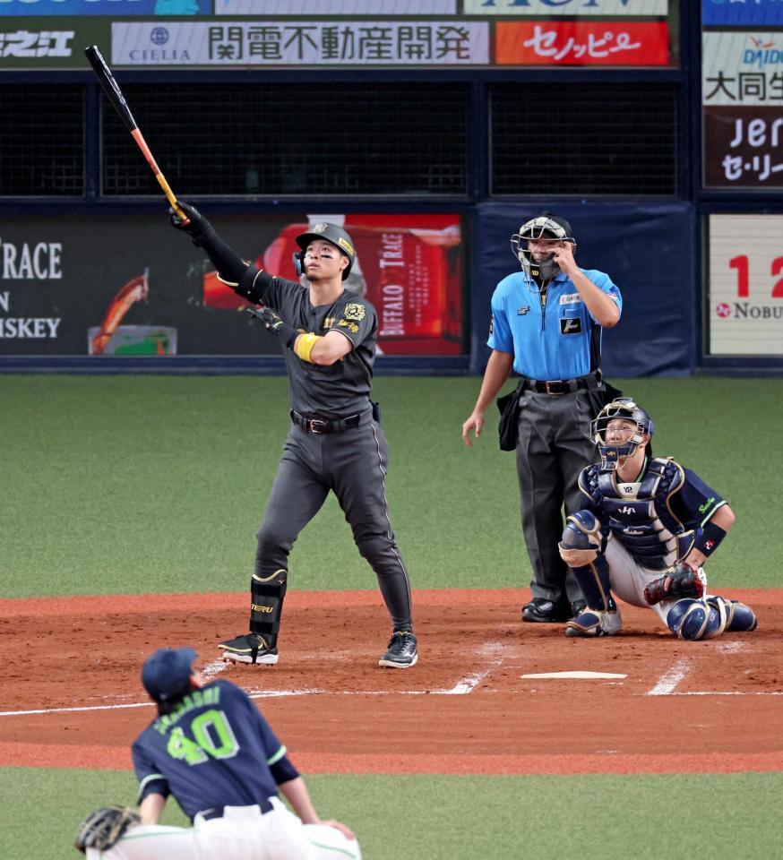 　４回、右翼スタンドへ先制ソロを放つ佐藤輝（撮影・立川洋一郎）