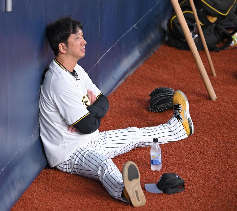 　外野から練習を見つめる藤川監督（撮影・飯室逸平）