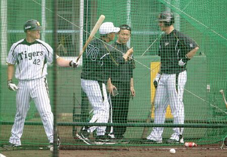 　阪神・水谷実雄チーフ打撃コーチ（中央）のアドバイスを聞く阪神　マット・マートン（右）。左は阪神・ブルックス・コンラッド＝２０１３年２月