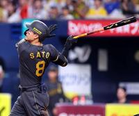 　３回、右中間にソロを放つ佐藤輝（撮影・山口登）