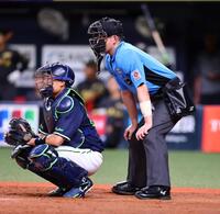 　梅木球審は投球が腕に当たりテーピングしジャッジする（撮影・山口登）