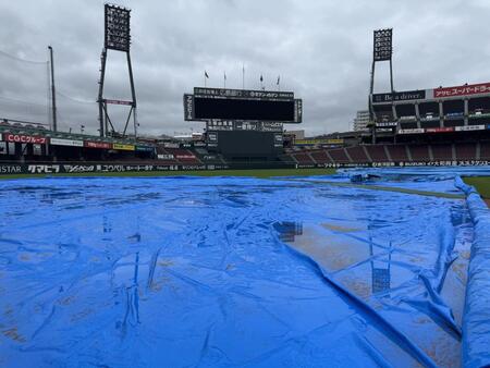 　シートが覆われるマツダスタジアム