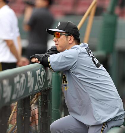 　練習を見る藤川監督（撮影・北村雅宏）