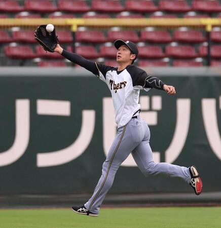 　守備練習を行う近本（撮影・北村雅宏）