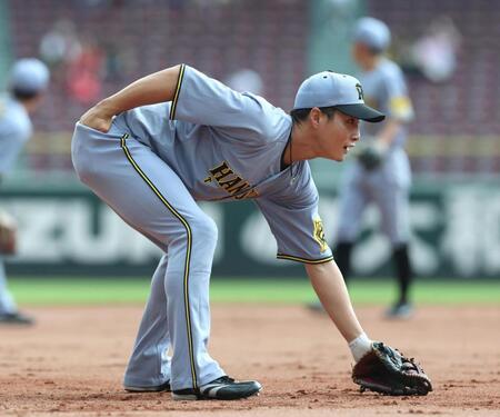 　三塁のポジションでシートノックを受ける木浪（撮影・北村雅宏）