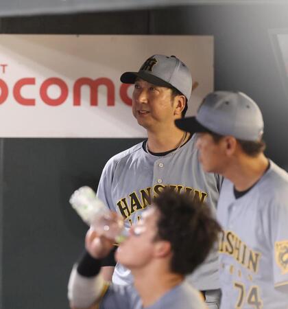 　８回を終え、ベンチ奥からグラウンドを見る藤川監督（中央）＝撮影・北村雅宏