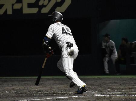 　サヨナラ打を放つ佐野