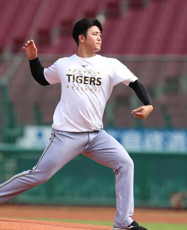 　マウンドの感触を確かめる岡留（撮影・北村雅宏）