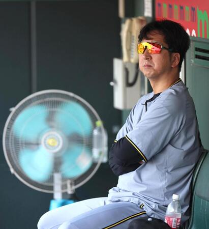 　ベンチで練習を見る藤川監督（撮影・北村雅宏）