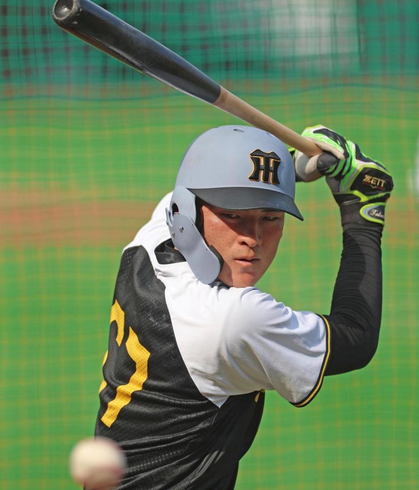 　打撃練習する高寺（撮影・北村雅宏）